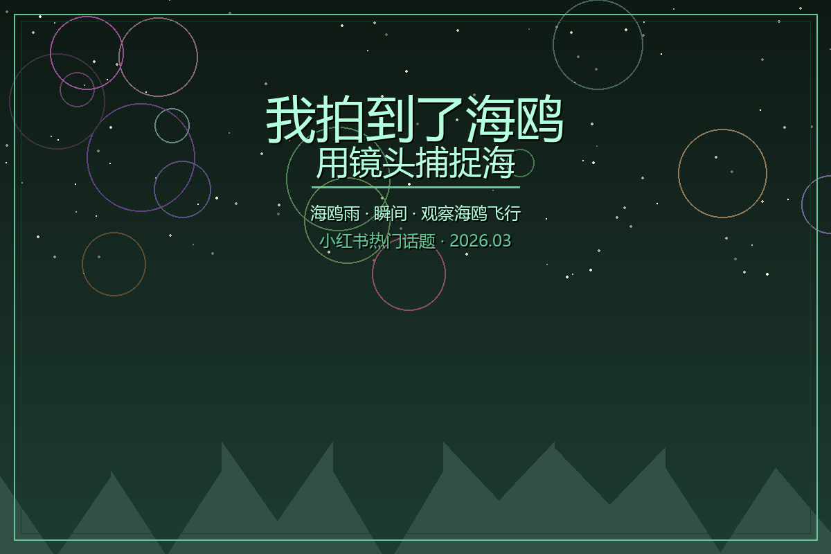 我拍到了海鸥雨——用镜头捕捉海鸥群飞的震撼瞬间